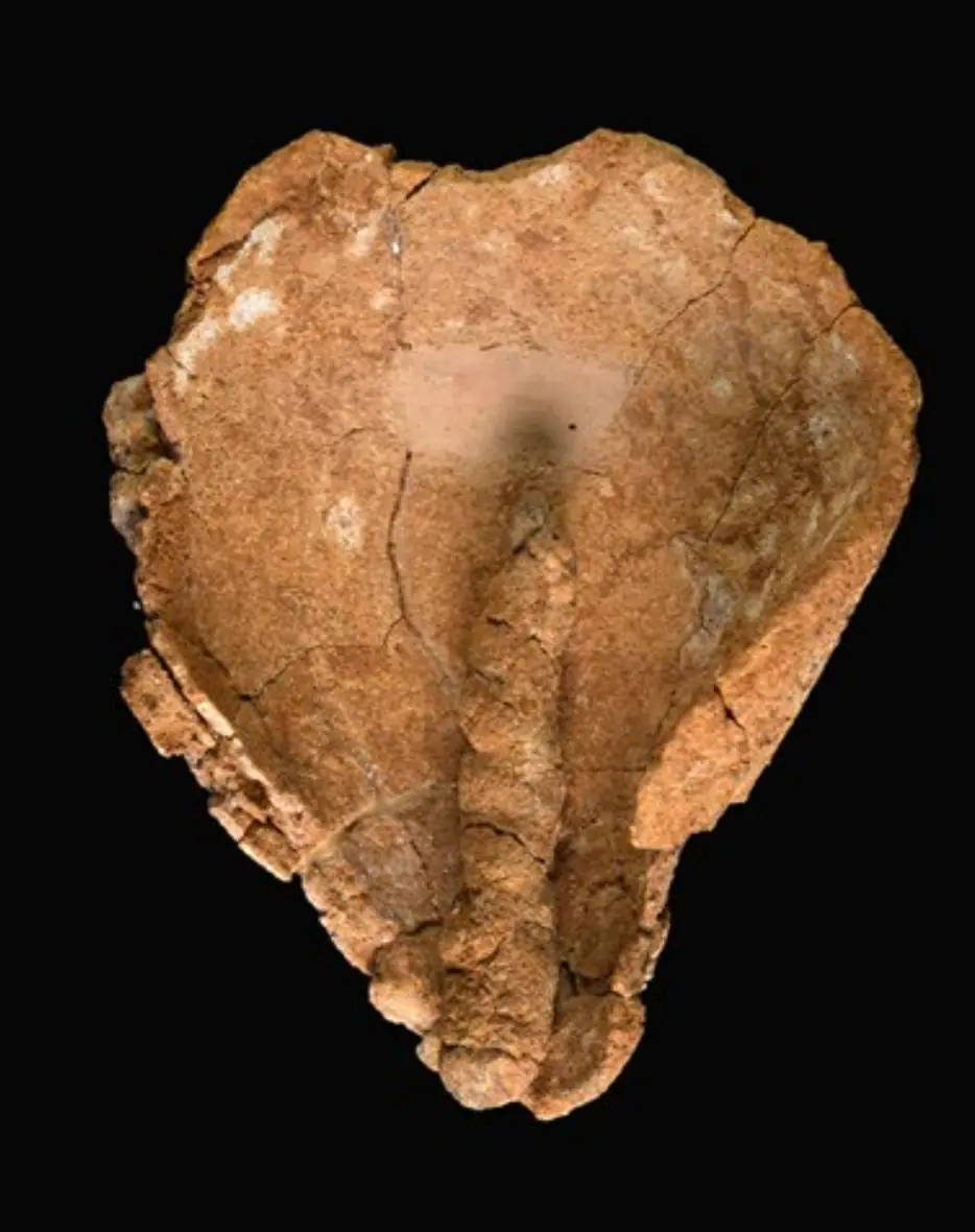4000 year old wick discovered in Newe Efrayim