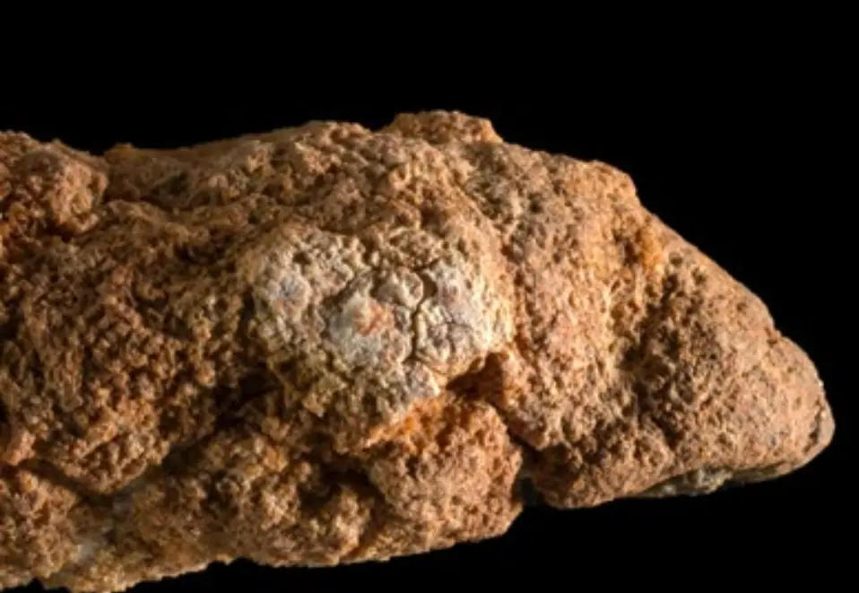Close up Wick from Oil Lamp with Wick Remains from Newe Efrayim