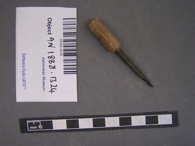 Copper awl with bone handle - image 1