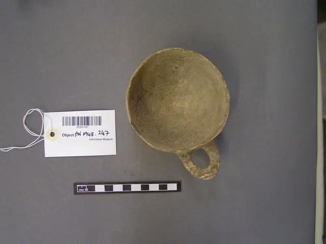 White Slip bowl - image 1