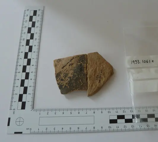 dish - image 1