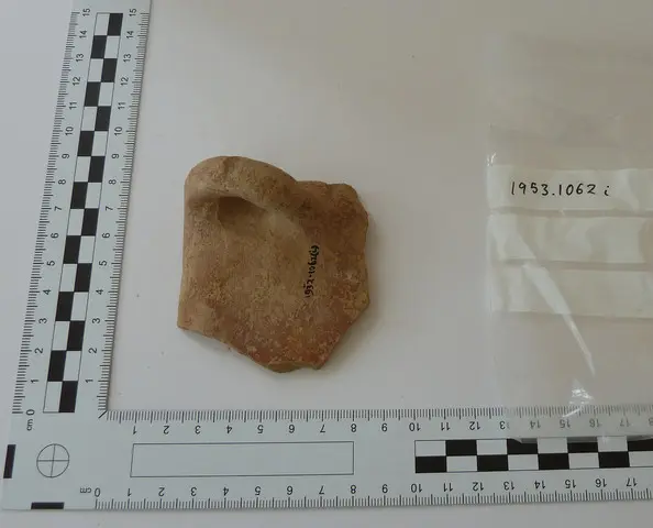 bowl - image 1