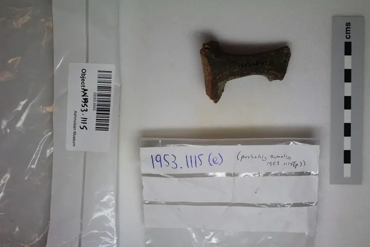 vessel - image 1