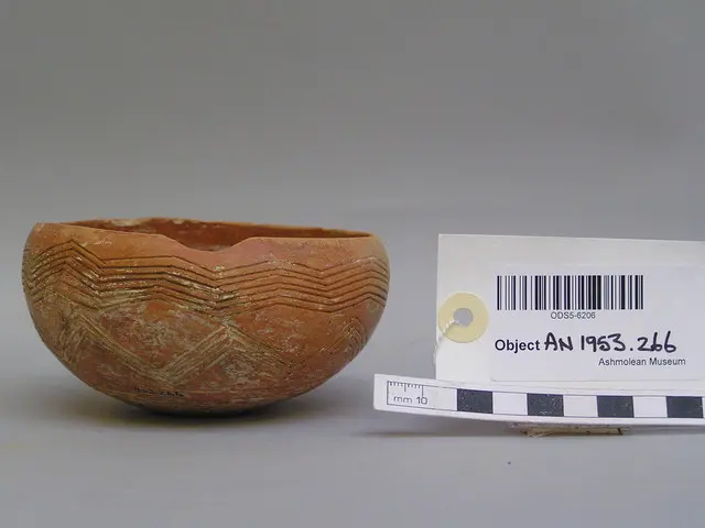Red Polished bowl - image 1