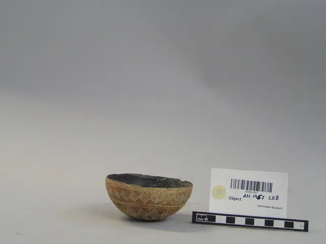 Red Polished bowl - image 1