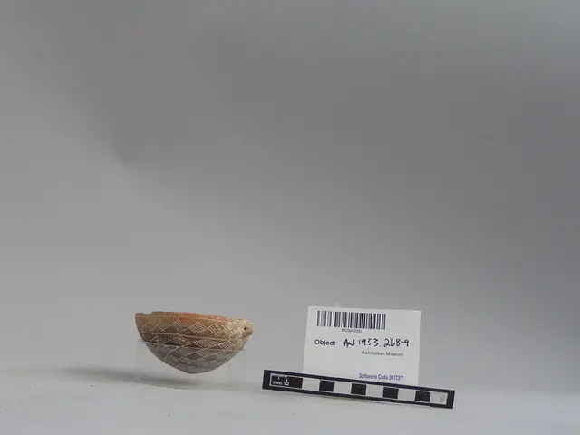 Red Polished bowl - image 1