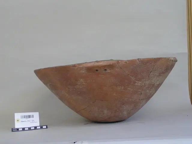 Large shallow bowl of lightly burnished red-ware with a series of small lugs round rim with two smaller ones for handles - image 1