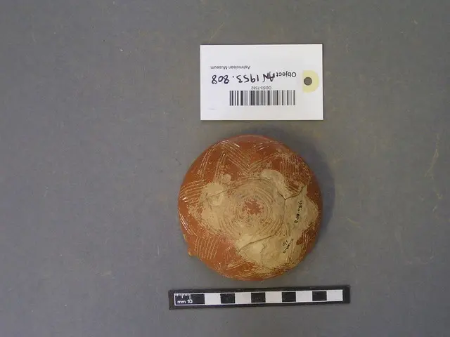 Red Polished bowl - image 1