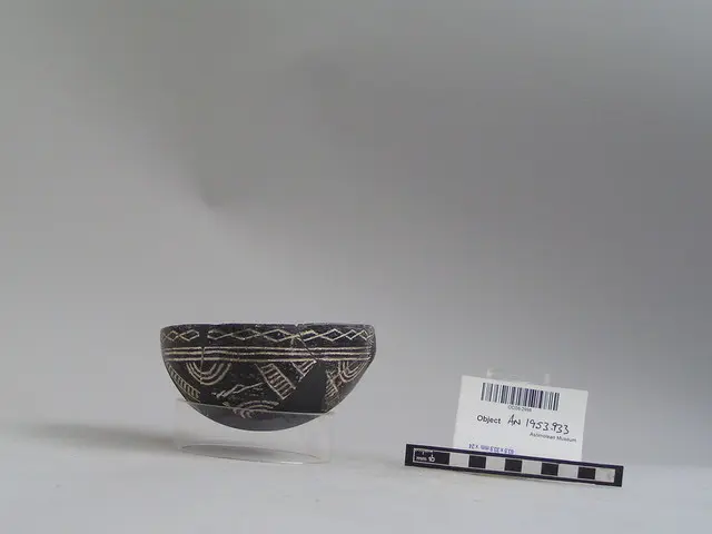 Black Polished Bowl - image 1