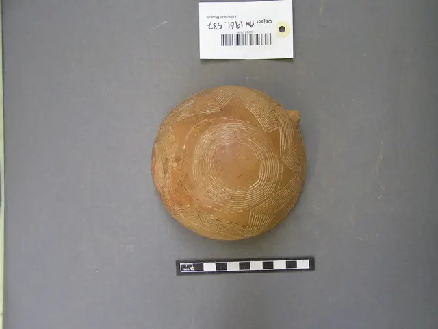 Red Polished bowl - image 1