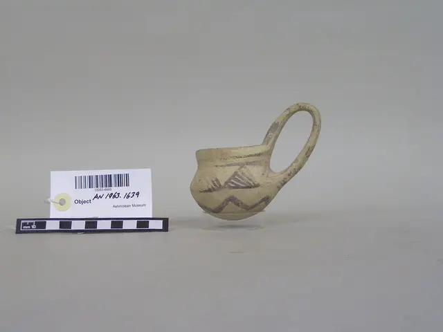 White-Painted dipper - image 1