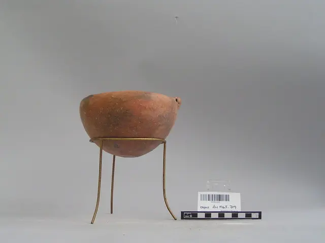 Red Polished II bowl - image 1