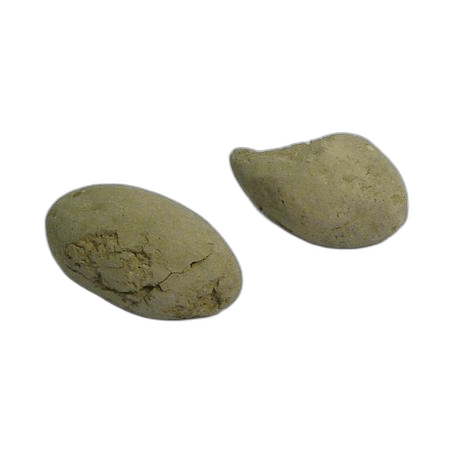 Olive Sling-shot - image 1