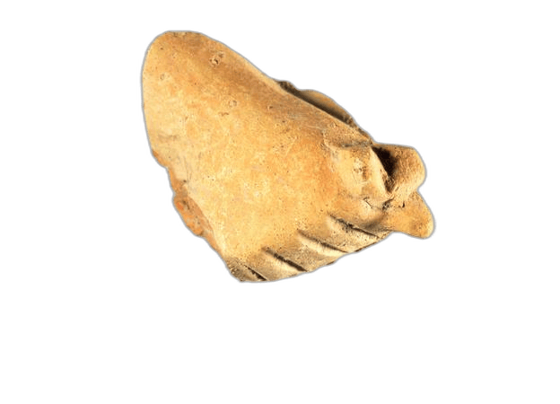Buff Terracotta Hand - image 1