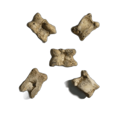 Gaming Knucklebone - image 1