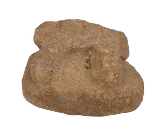 Limestone Votary Statuette - image 1