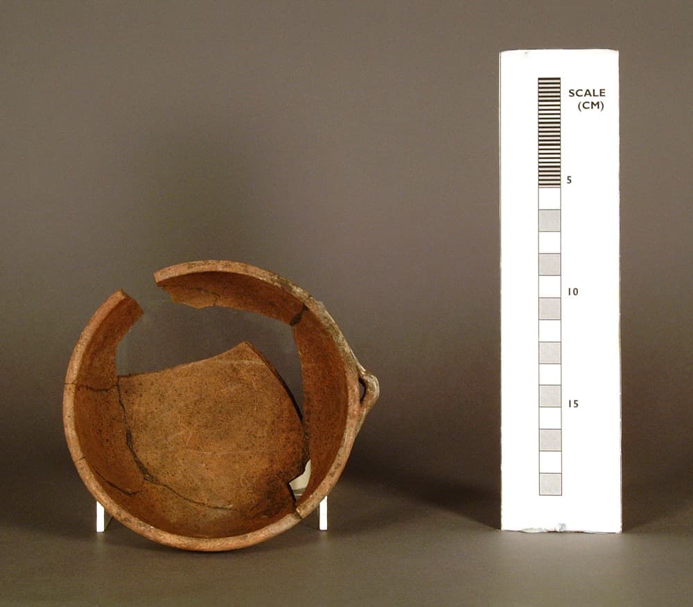 bowl - image 1