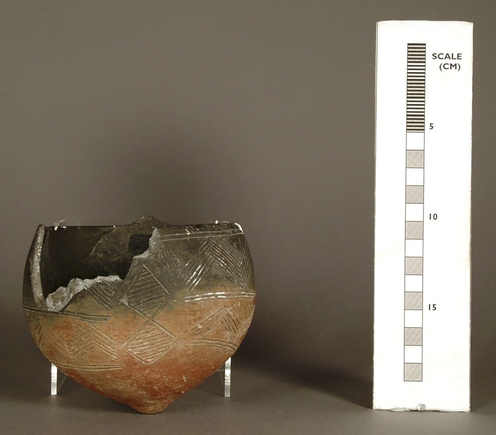 bowl - image 1