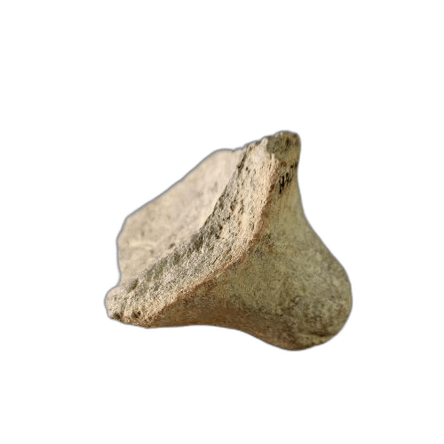 Vessel fragment - image 1