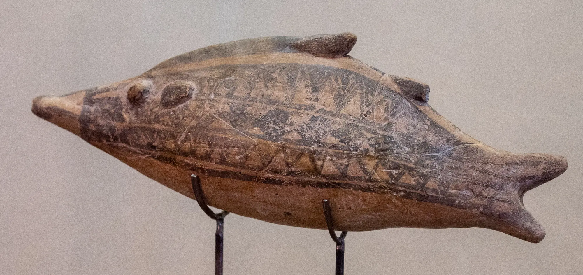 Bichrome Fish - image 1