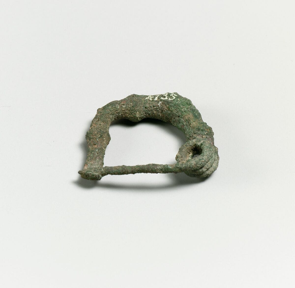 Fibula - image 1