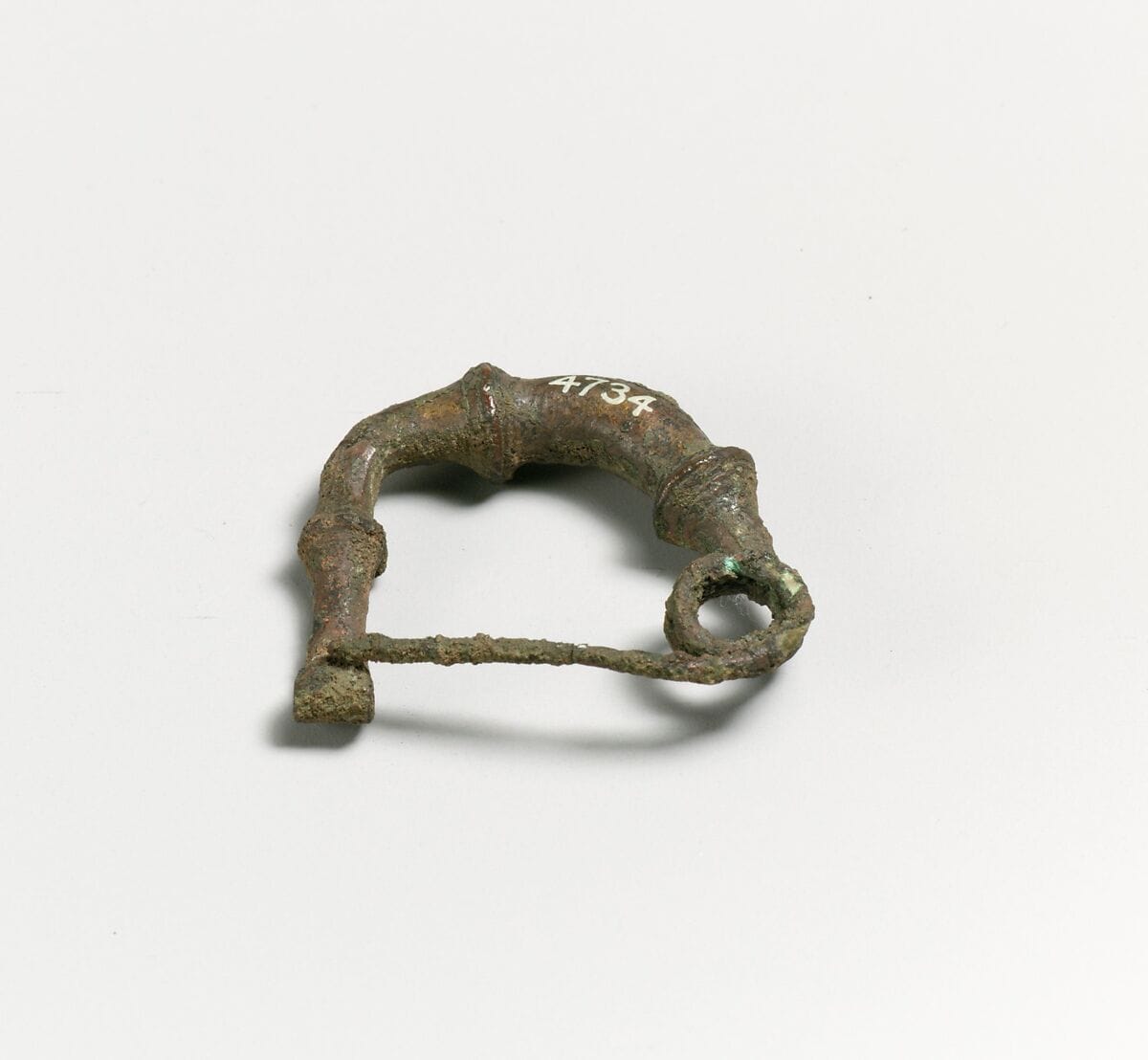 Fibula - image 1