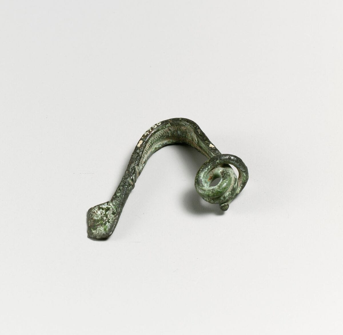 Fibula - image 1