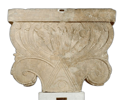 Tree of life - image 1